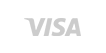 Icono Visa